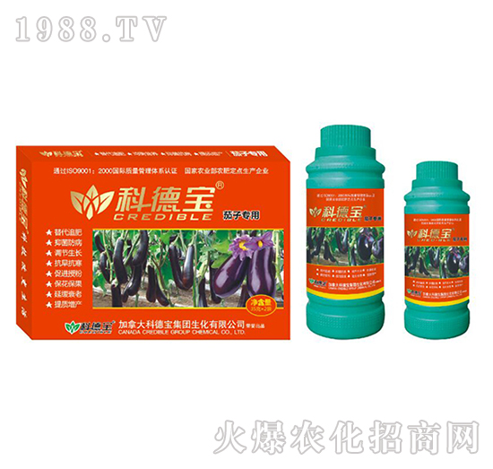 ���ӌ��àI�B(y��ng)���a(ch��n)�{�턩-�Ƶ�