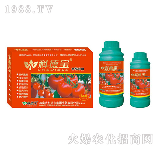 番茄專(zhuān)用營(yíng)養(yǎng)增產(chǎn)調(diào)理劑-科德寶