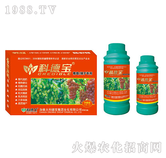 ���������ӌ��àI(y��ng)�B(y��ng)���a(ch��n)�{(di��o)�턩-�Ƶ�