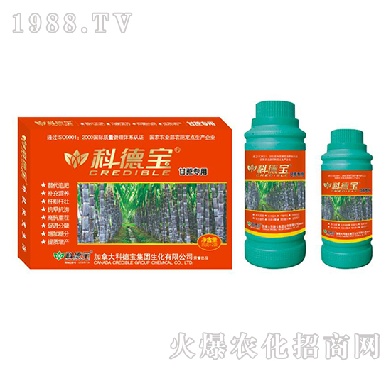 ���ጣ�àI�B(y��ng)���a(ch��n)�{(di��o)�턩-�Ƶ�