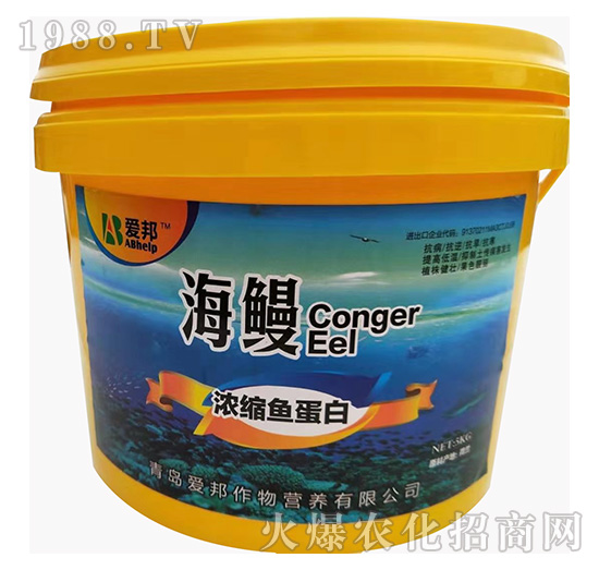 ��s�~(y��)����-����-��(��i)��