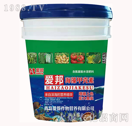 ����ך���-��(��i)��