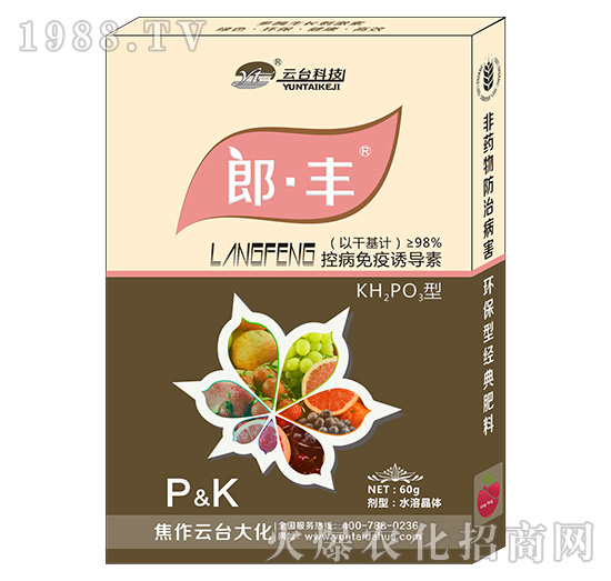 �ɡ��S-���_(t��i)��