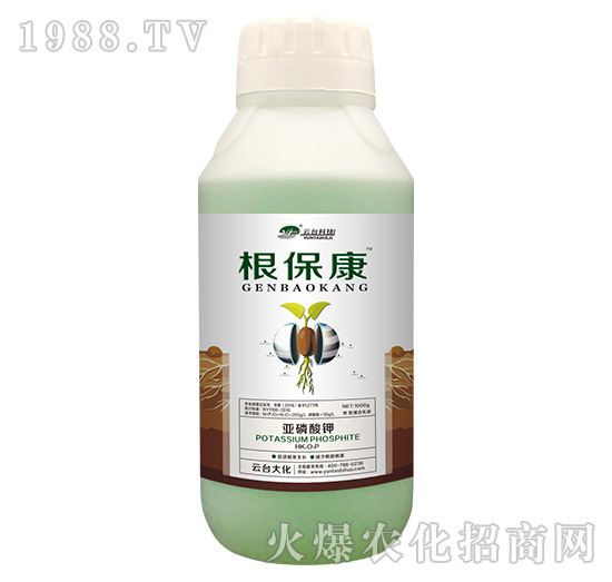 1000g������-���_(t��i)��