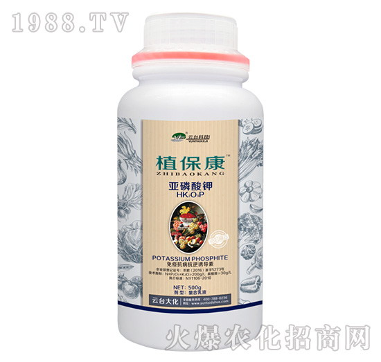 500gֲ����-���_��