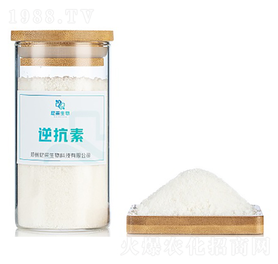 �濹��-�������