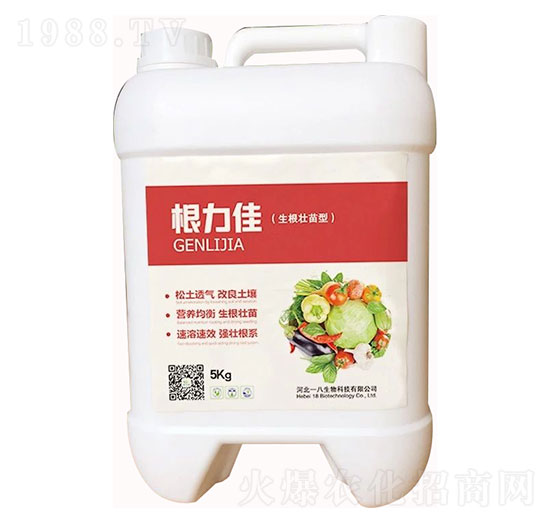 ������-һ������