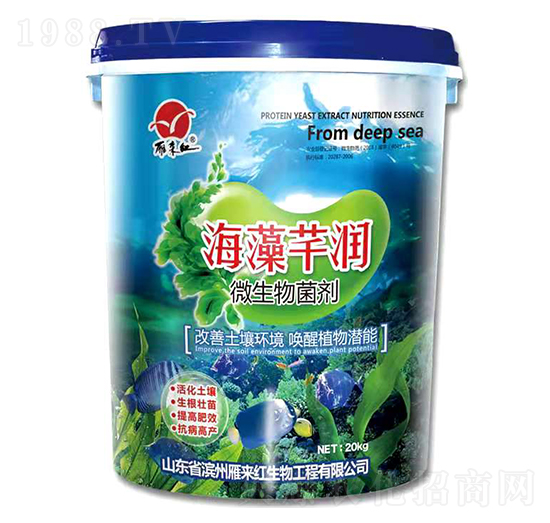 微生物菌劑-海藻芊潤(rùn)-雁來紅