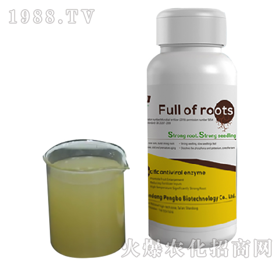 ���M�M-�����