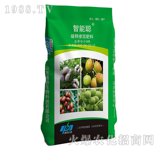 ��ጓ������24-12-12-�����