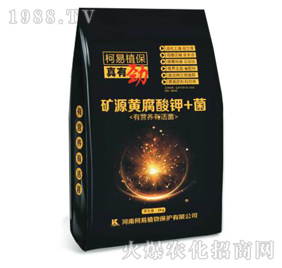 �VԴ�S�����+��-���Є�-����ֲ��