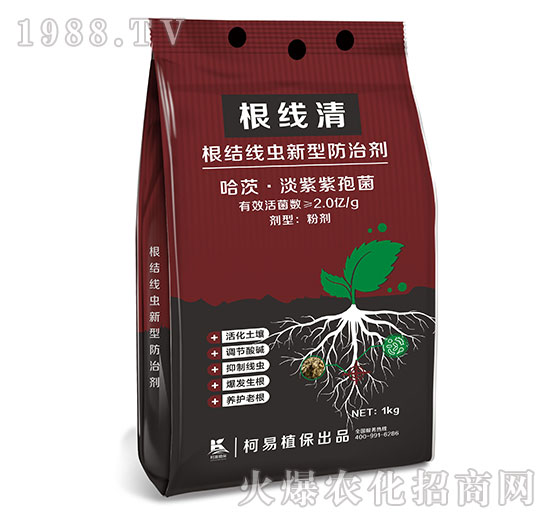 ���Y(ji��)���x(ch��ng)���ͷ��΄�-������-����ֲ��