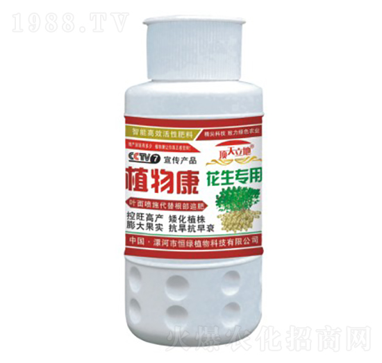 花生專用植物康-頂天立地-恒綠植物