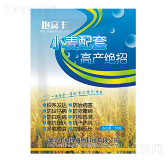 小麥配套高產(chǎn)絕招-抱窩豐-恒綠植物