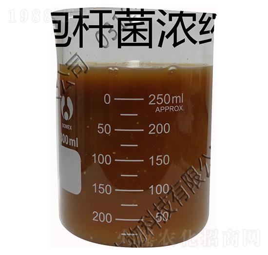 復(fù)合濃縮微生物菌液-瑞谷生物