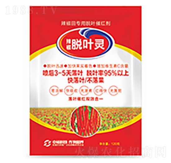 Ó�~�`-�����Ƽ�