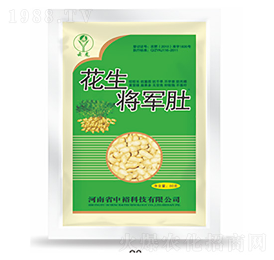 ������܊��-�����Ƽ�