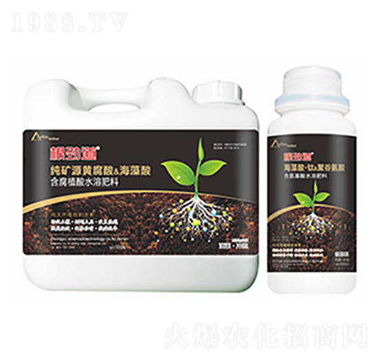 根勁道-中?？萍? style=