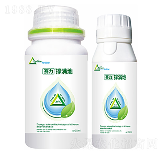 撐滿地-中?？萍? style=