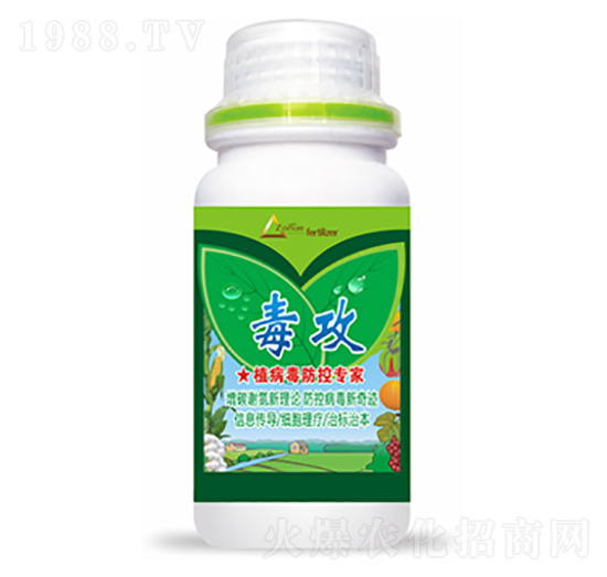 ����-�����Ƽ�