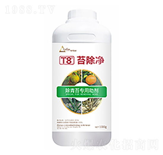 ̦����T8-��ԣ�Ƽ�