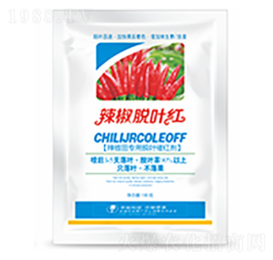 ����Ó�~�t-�����Ƽ�