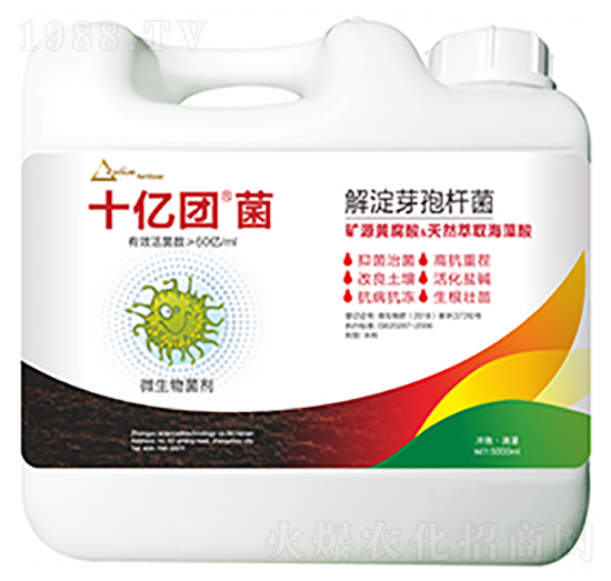 解淀芽孢桿菌-十億團(tuán)菌-中?？萍? style=