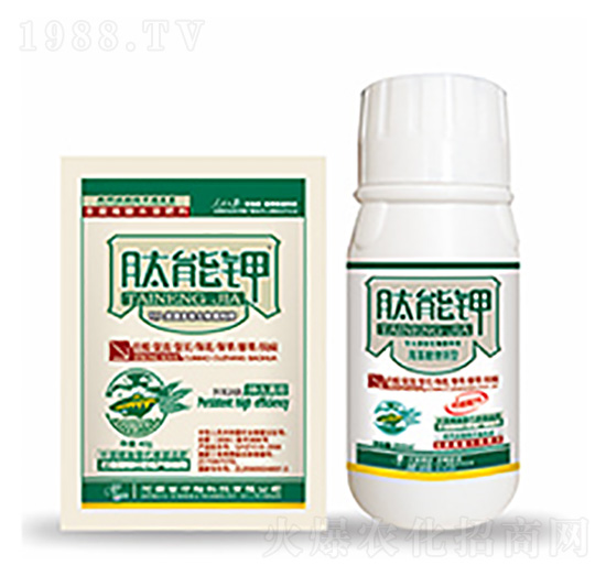 �����-�����Ƽ�