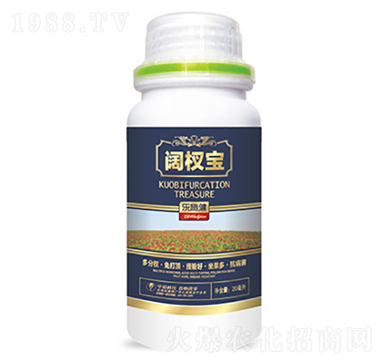 �辌�-�����Ƽ�