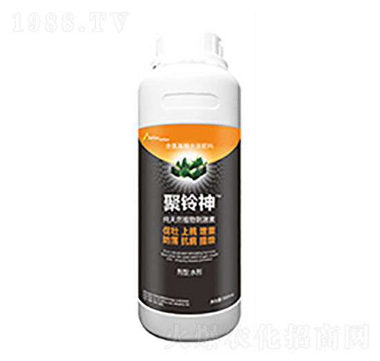 �����-�����Ƽ�