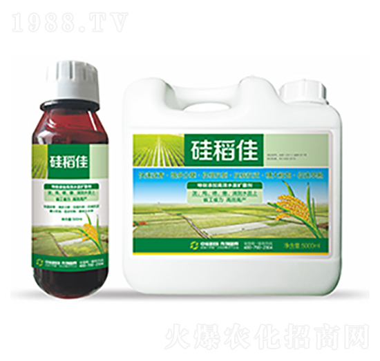 �赾��-�����Ƽ�