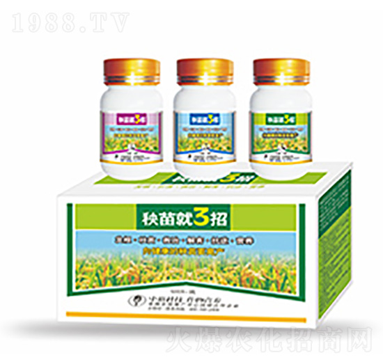 �����3��-�����Ƽ�