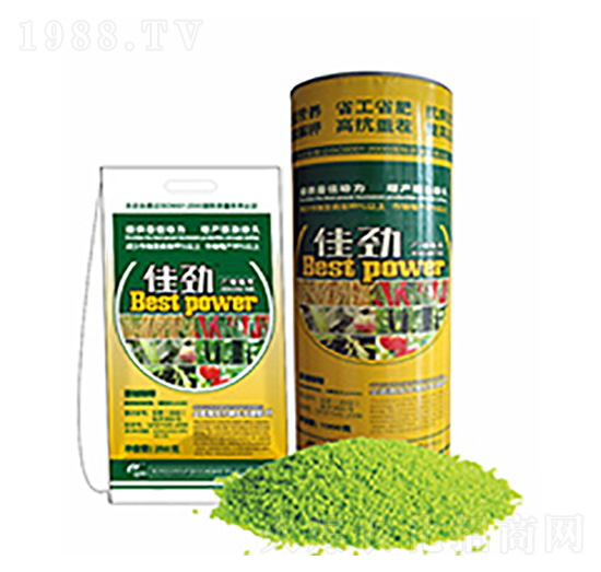 �ф�-�����Ƽ�