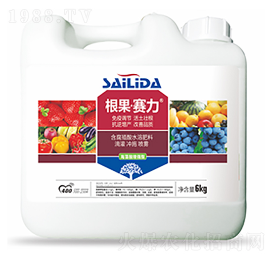 根果賽力-中?？萍? style=