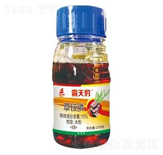 10%���@�-���챪-ϲ�S��