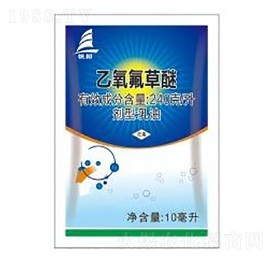 240��ÿ������������-ϲ�S��