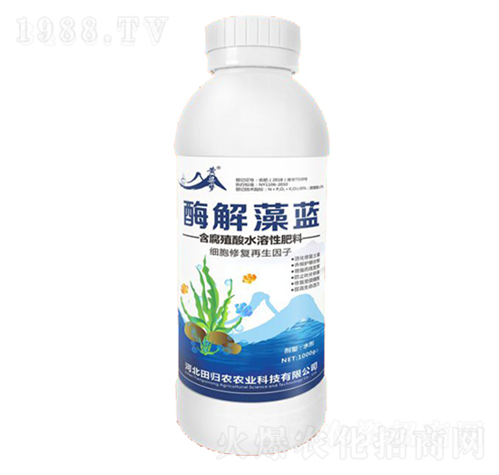 含腐殖酸水溶性肥料-酶解藻藍-紫州農業(yè)