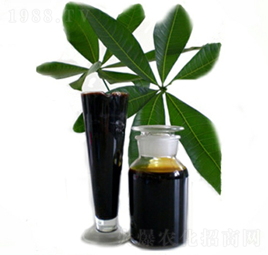 食用級黃腐酸原液（烏金石原液）-圣大一方