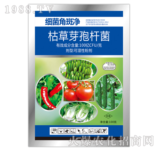 枯草芽孢桿菌-細(xì)菌角斑凈-寶豐農(nóng)藥