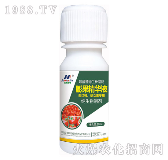 �������Ƅ�-���t����ʥŮ����(zhu��n)��-��ķ˹��