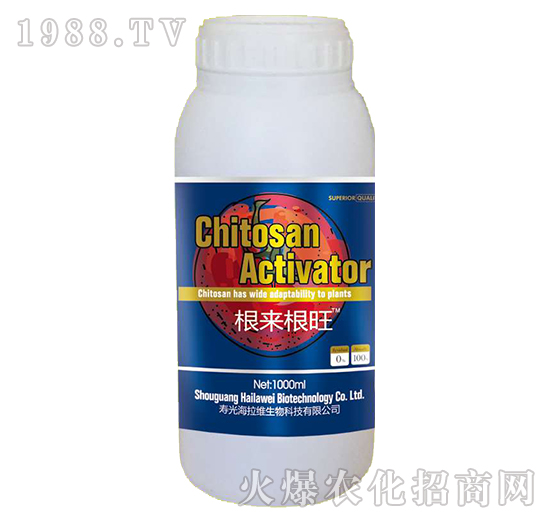 根來(lái)根旺-海拉維