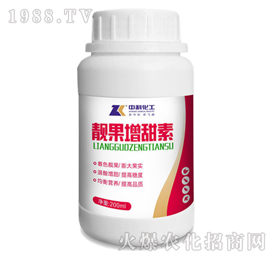 �n��������-�пƻ���