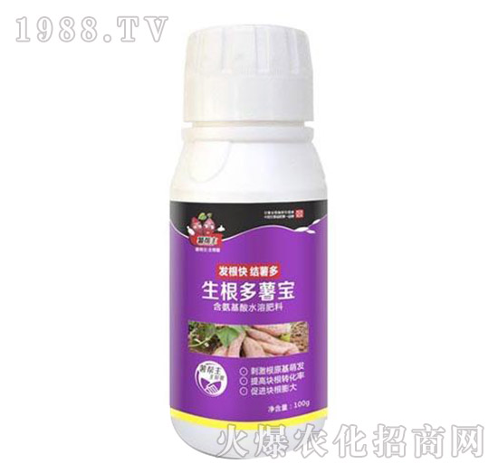 生根多薯寶-薯幫主-升華永樂