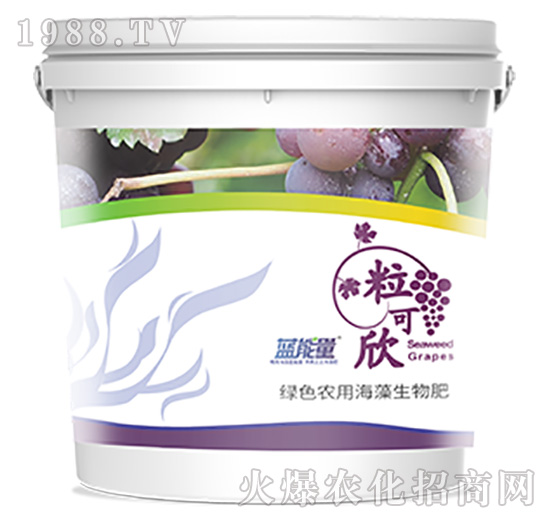 ������-�{(l��n)����