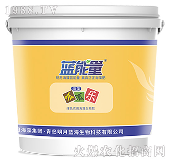 ���ɘ�(l��)-�{(l��n)����