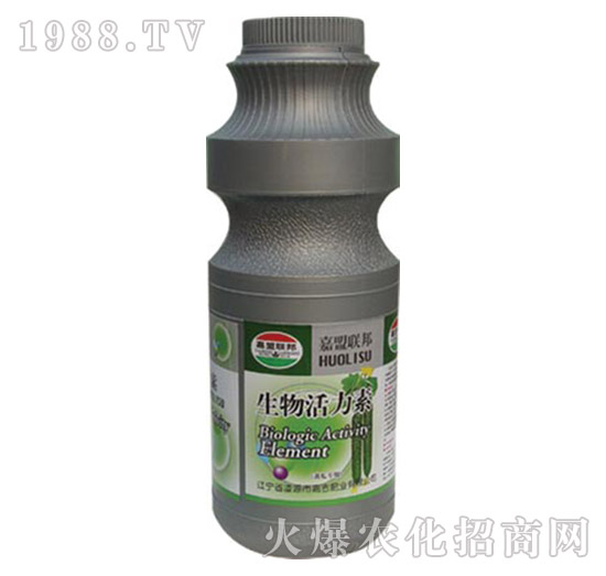 �S�ό������������-�μ�