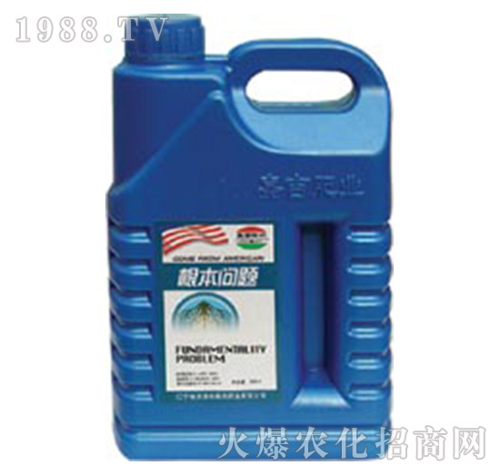 ������(w��n)�}-�μ�