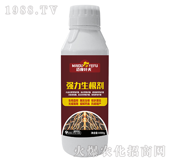 強力生根劑-邁度葉夫