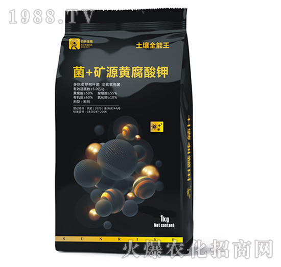 ��+�VԴ�S�����-����ȫ����-��������