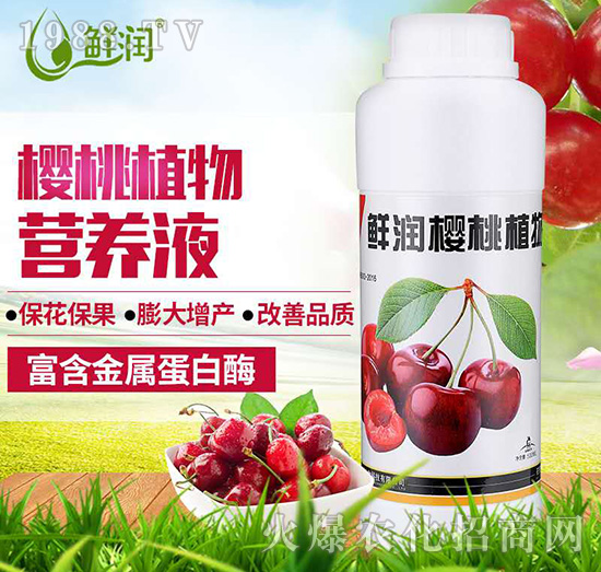 鮮潤(rùn)櫻桃植物營(yíng)養(yǎng)液-農(nóng)悅生物